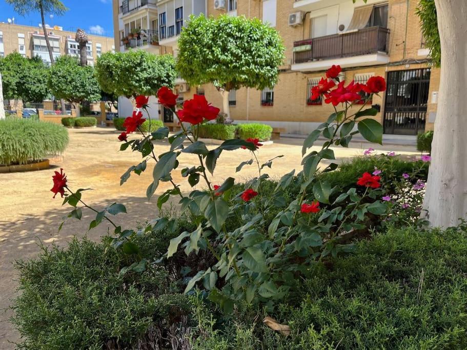 Triana Family Suites إشبيلية المظهر الخارجي الصورة