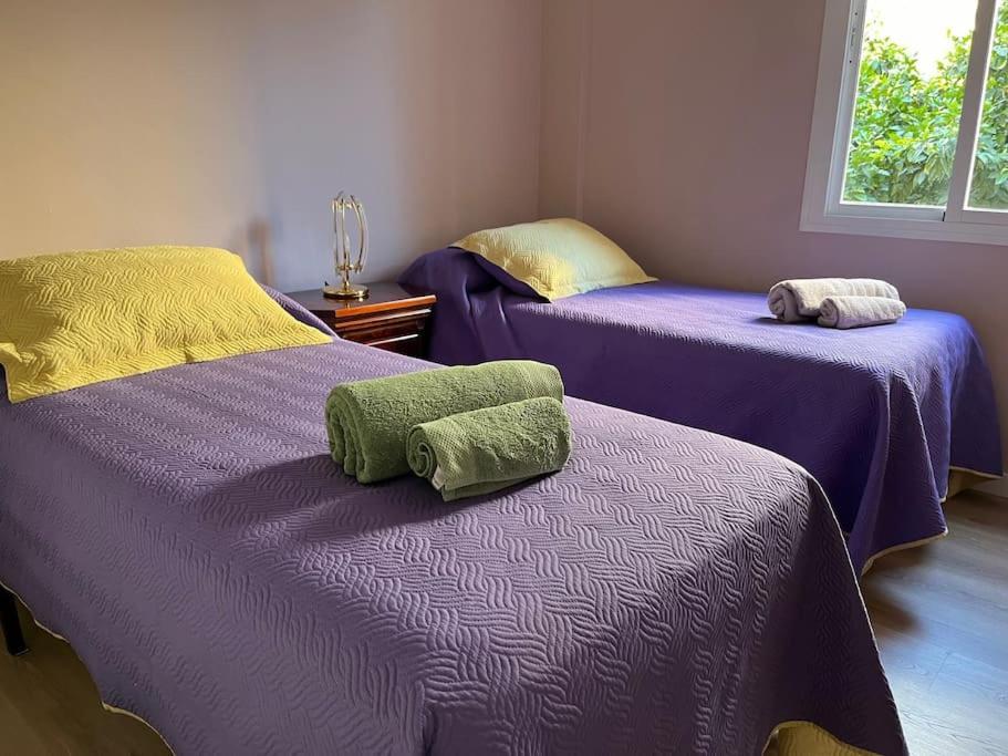 Triana Family Suites إشبيلية المظهر الخارجي الصورة
