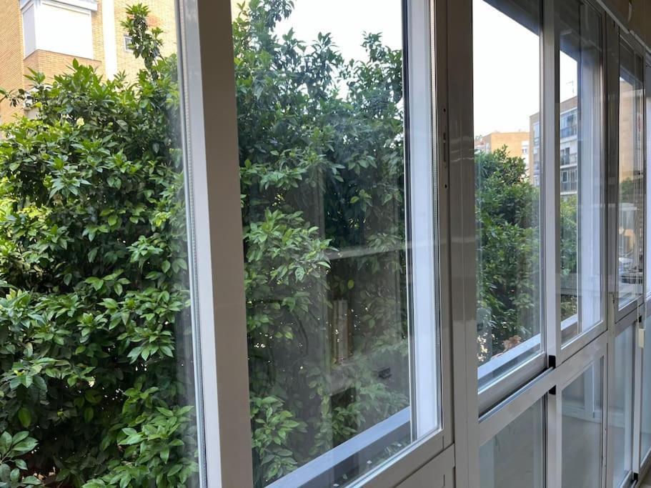 Triana Family Suites إشبيلية المظهر الخارجي الصورة